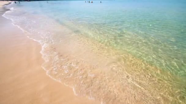 海から柔らかい波が湿った砂のビーチに来ています 夏のコンセプトを閉じる波の海の水ビーチに来る — ストック動画