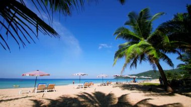 4K Tatil Yaz Tatili Konsepti. Sahilde hindistan cevizi palmiyesi. Güzel tropikal deniz manzaralı Phuket Adası 'ndaki hindistan cevizi palmiyesi Tayland' ın ünlü turistik beldesi Andaman Denizi Özgürlük Kumsalı