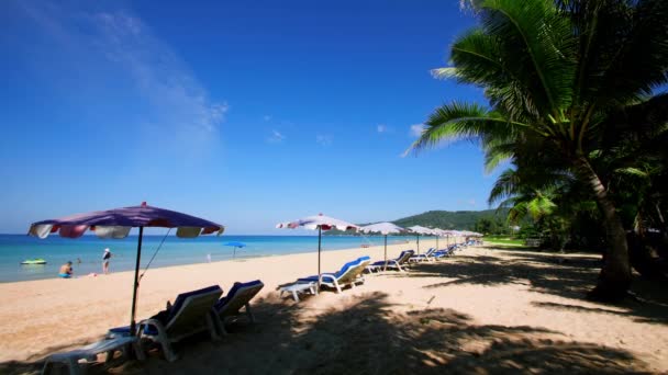 4K年暑假的概念 海滩上的椰子树 美丽的热带海滨椰子树美丽的热带海滨风景普吉岛泰国著名旅游胜地安达曼海上自由海滩 — 图库视频影像
