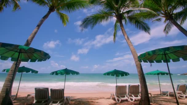Dovolená Letní Koncept Kokosové Palmy Pláži Kokosové Palmy Krásné Tropické — Stock video