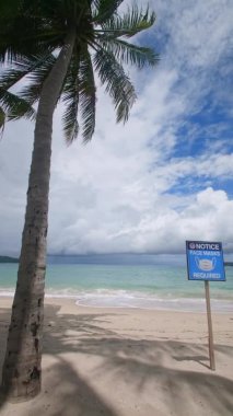 Dikey görüntü. 4K Tatil Yaz Tatili Konsepti. Sahilde hindistan cevizi palmiyesi. Güzel tropikal deniz manzaralı Phuket adasında hindistan cevizi palmiyesi Tayland 'ın ünlü turizm merkezi Andaman 
