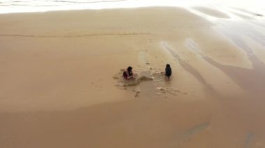 4K hava aracı üst görüntüsü. İki mutlu küçük kız sahilde birlikte kum oynuyor. Aileden iki kız sahilde dinleniyor. Hayat tarzı seyahat tatili aile kavramı.