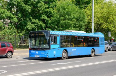 Alçak katlı şehir otobüsü MAZ-203.069 Green Avenue, Moskova, Rusya Federasyonu, 11 Temmuz 2021