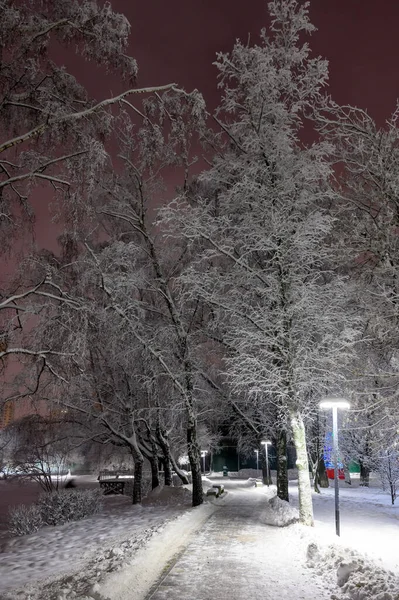 Téli Táj Gyári Parkban Reutov Moszkva Régió Orosz Föderáció 2021 — Stock Fotó