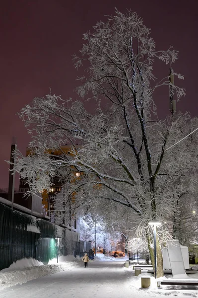 Téli Táj Gyári Parkban Reutov Moszkva Régió Orosz Föderáció 2021 — Stock Fotó