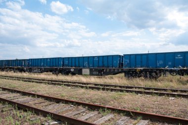 Beyaz Rusya 'nın Brest-Northern tren istasyonundaki PKP Kargo Lojistiği' nden Sggrss-K tipi eklemli uygun platform, 20 Temmuz 2015