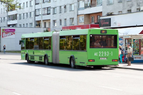Stadsbuss Maz 105 465 Cosmonauts Boulevard Brest Vitryssland Juli 2015 — Stockfoto