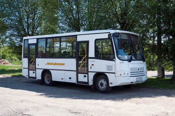 City Bus Paz 320402 Alla Stazione Degli Autobus Vileyka Regione — Foto Stock