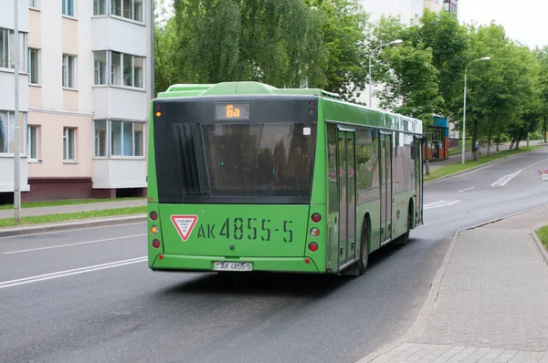 Міський Автобус Низького Поверху Маз 203 065 Зупинці Парк Перемоги — стокове фото