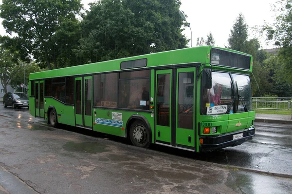 Autobús Urbano Piso Bajo Maz 103 003 Calle División Irkutsk — Foto de Stock