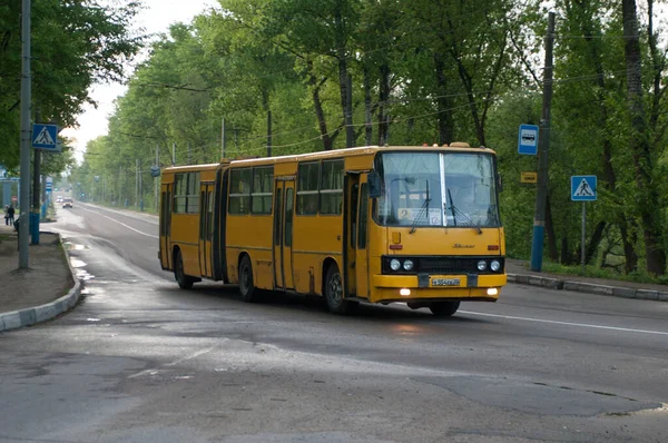 Autobús Urbano Ikarus 280 Calle Kalinin Bryansk Rusia Mayo 2014 —  Fotos de Stock