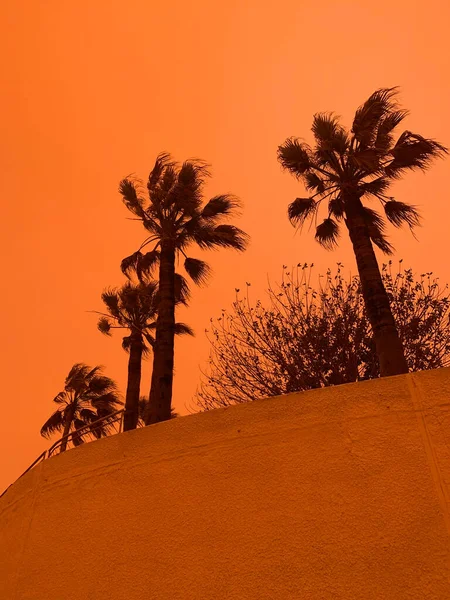 Orange day without filters. Sandstorm from the Sahara in Europe.