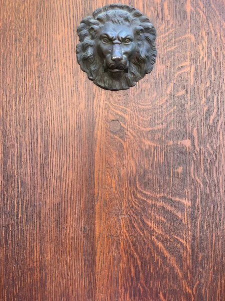 Background Wooden Door Bulging Lion Head — Stock Photo, Image