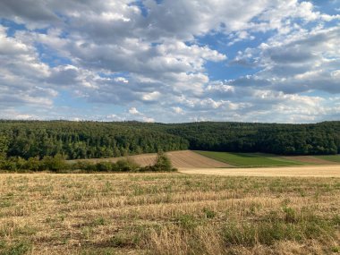 Almanya 'da yazın sonunda manzara: çayır, tarla, orman, ufuk, bulutlar.