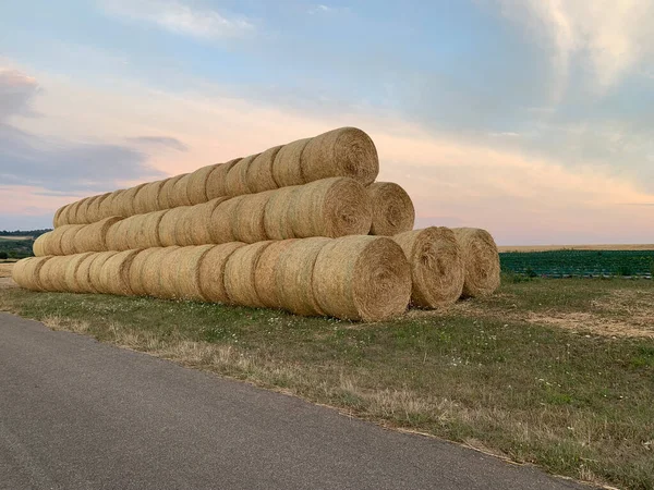 Stacks Hay Stacked Open Field Pyramid Sunset Sky Side View — Stock Photo, Image