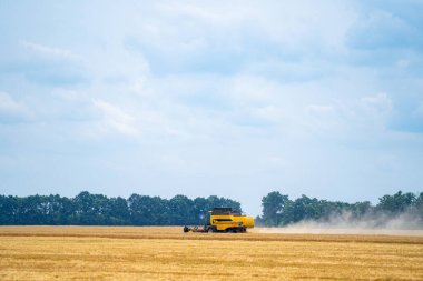 Yeşil birleştirilirken geniş görünüm. Sahadaki özel teknisyen yaz günü çalışıyor. Altın buğday kavramında modern makineler