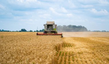 Hasat makinesini sahada çalıştırın. Hasat makinesini birleştirin. Buğday tarlası konsepti için hasat makinesi.