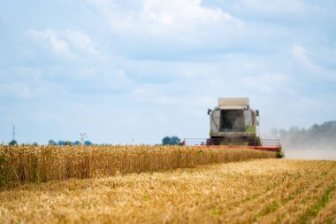 Hasat makinesinin dikey görüntüsü, güneşli yaz gününde tarım alanında buğday hasadını birleştiriyor. Çiftçilik kavramı