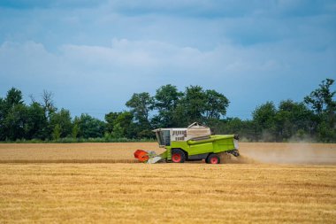 Tarlada çalışan harika bir hasat makinası. Mavi gökyüzünde tarım makinesi. Stok fotoğrafı