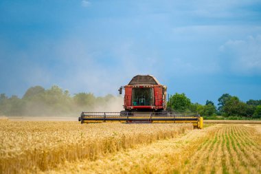 Güneşli bir günde mavi gökyüzüyle buğday tarlasında tarım süreci. Ağır teknisyenler. Kırsal alan. Hasat zamanı
