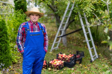 Mavi kıyafetli ve şapkalı yaşlı çiftçi meyve bahçesinde duruyor. Çiftçi elini cebinde tutuyor ve doğrudan kameraya bakıyor..