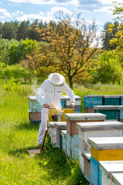 Imker Houdt Een Honingcel Met Bijen Zijn Handen Bijenteelt Apiair — Stockfoto