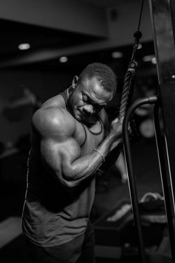 Spor salonunda kamera için poz veren genç bir vücut geliştirici. Sportif sporcu, pazılarını spor salonunda çalıştırıyor..