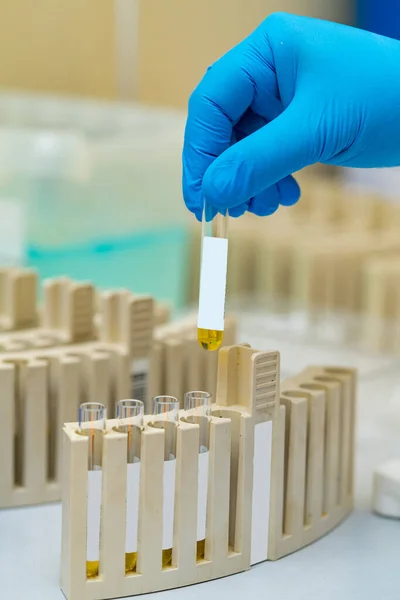 Laboratório Hospitalar Com Equipamento Química Análise Médica Sala Pesquisa — Fotografia de Stock