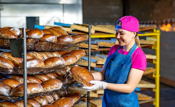 Industrial Bread Production Bakery Mask Gloves Factory — стоковое фото