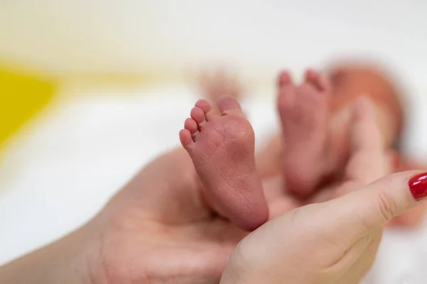 Die Füße Des Neugeborenen Den Händen Der Mutter Hände Der — Stockfoto