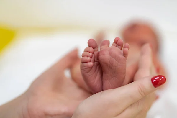 Nahaufnahme Der Babyfüße Die Hände Der Mutter Halten Den Fuß — Stockfoto