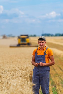 Büyük sarı tarlada çiftçi hasatçının önünde çapraz kollarıyla duruyor. Mavi ve sarı renklerin kombinasyonuyla güzel bir yer.