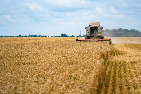 Processo Agricolo Nel Campo Del Grano Tecniche Pesanti Paesaggio Rurale — Foto Stock