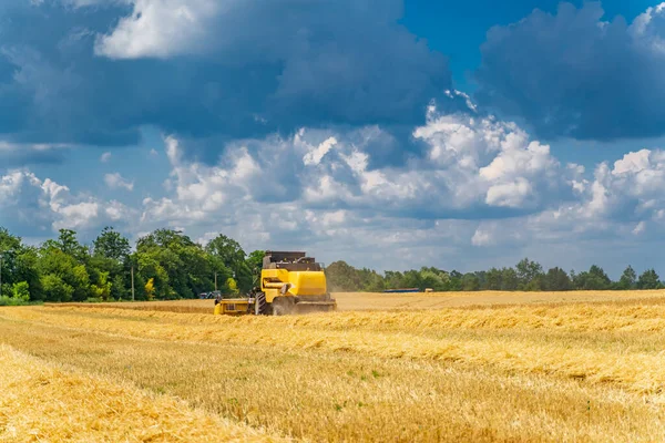 Сільськогосподарський Процес Пшеничному Полі Сонячний День Блакитним Небом Важка Техніка — стокове фото