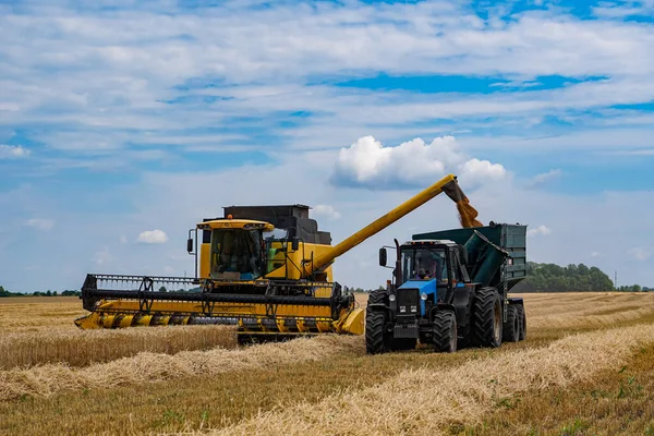 从田里收集成熟作物的过程 在该领域的特殊技术 黄金小麦的现代机械 谷物或小麦采集 重型机械 — 图库照片