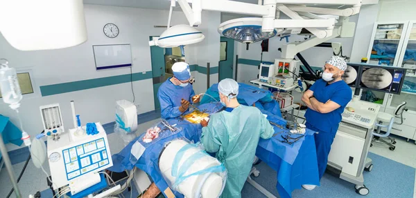 Surgeon Team Operating Emergency Room Medical Surgery Professional Specialist Teamwork — Stockfoto
