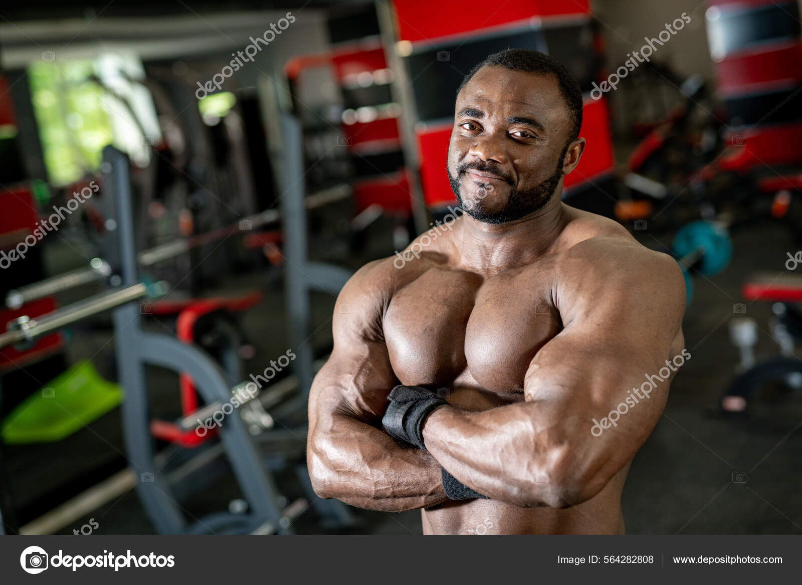 Black Bodybuilder Training With Round Discs Stock Photo - Download Image  Now - Abdominal Muscle, Adult, Adults Only - iStock