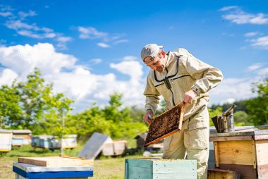 Summer honey farming. Handsome beekeeper with wooden frame.