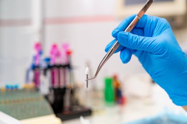 Eldivenli elleri tutan stomatoloji profesyonel enstrümanları. Ortodontik tıbbi çelik cihazlar.