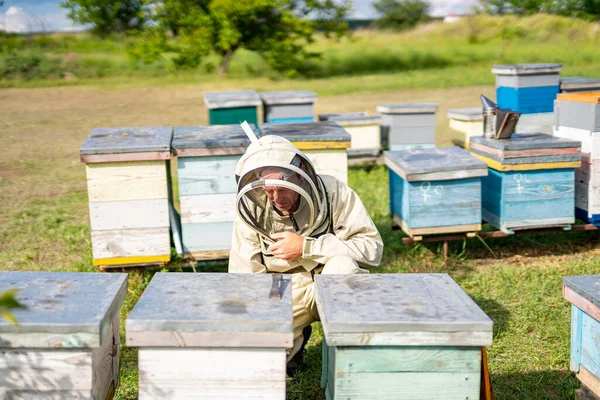 Υπαίθρια Λιβάδι Καλλιέργεια Μελιού Μελισσοκομικά Τοπία Κυψέλες — Φωτογραφία Αρχείου
