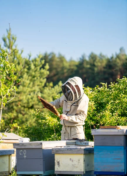 保護制服で養蜂家は リンゴで働く 木枠を持つ養蜂家 — ストック写真