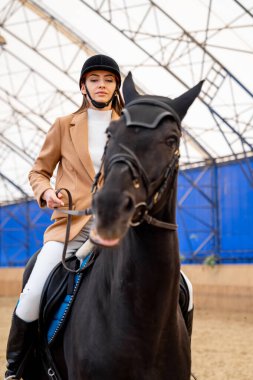 Miğferli genç bayan at sırtında. Jokey at biniciliği yaşam tarzı.