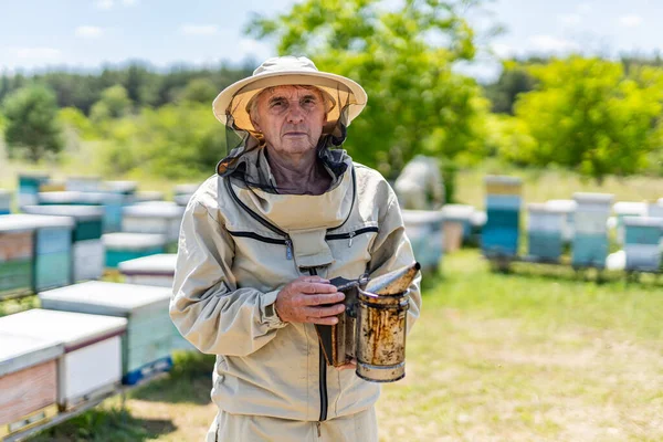 Apicoltore Professionista Che Lavora Tuta Protettiva Ritratto Persona Apicoltura — Foto Stock