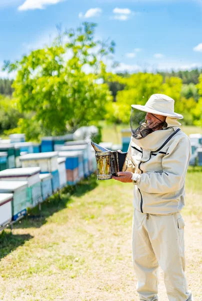 Bijenhouder Beschermend Kostuum Boer Bijenkostuum Werkend Met Bijenkorven — Stockfoto