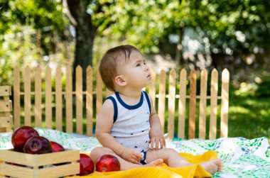 Çimlerin üzerinde elmalı çocuk. Bahçede elmaları olan sevimli bir çocuk..
