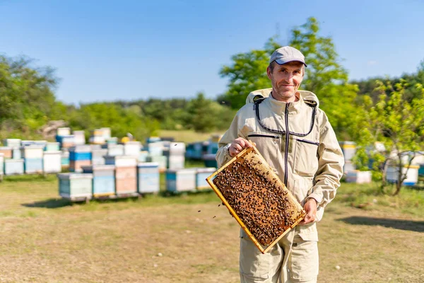 Bijenteelt Knappe Persoon Werken Met Netelroos Mannelijke Imker Met Houten — Stockfoto