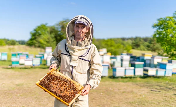 蜂蜜を栽培するための木製のフレームを持つ男性養蜂家 じんましんを扱うハンサムな人を養蜂 — ストック写真