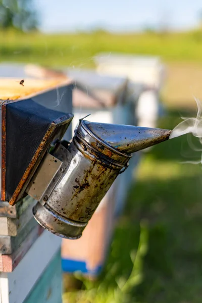 Beekeeping Smoke Instrument Bee Apiary Smoker Equipment — Stock Photo, Image