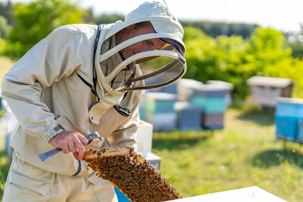 保護衣装の養蜂家 ハニーコンズ農業甘い蜂蜜 — ストック写真