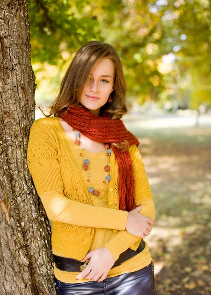 Colorful harmony for autumn fasion. Stock Picture